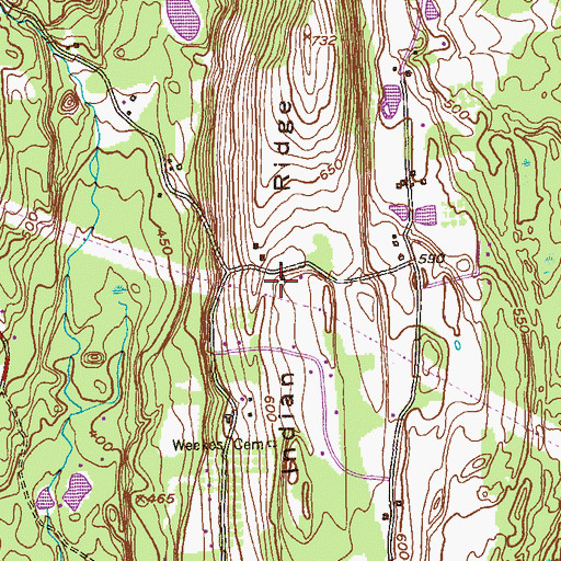 Topographic Map of Indian Ridge, NY