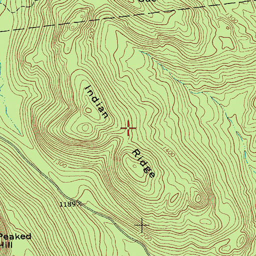 Topographic Map of Indian Ridge, NY