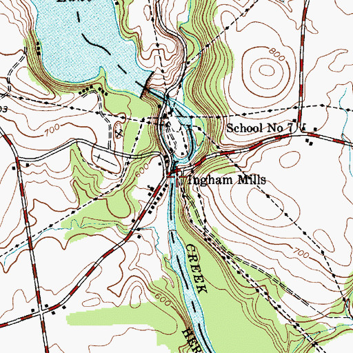 Topographic Map of Ingham Mills, NY