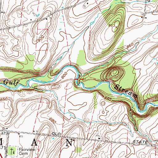 Topographic Map of Inman Gulf, NY