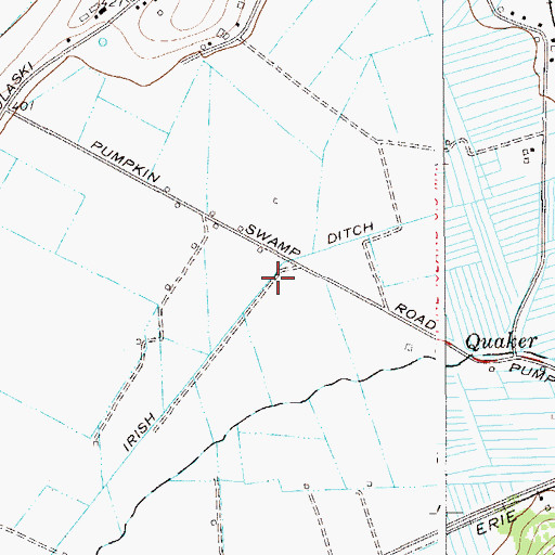 Topographic Map of Irish Ditch, NY