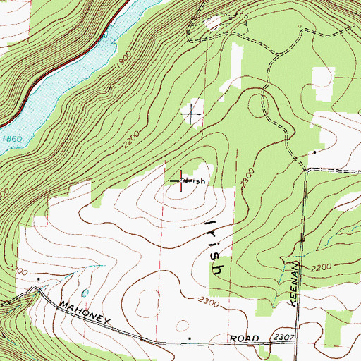 Topographic Map of Irish Hill, NY