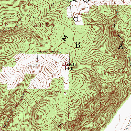 Topographic Map of Irish Hill, NY