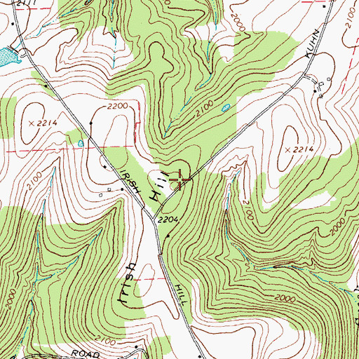 Topographic Map of Irish Hill, NY
