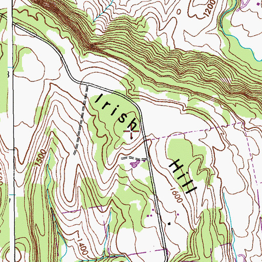 Topographic Map of Irish Hill, NY