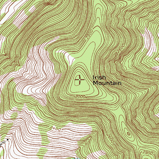 Topographic Map of Irish Mountain, NY