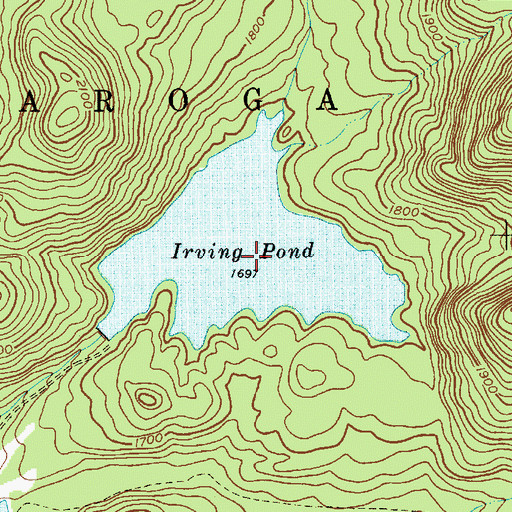 Topographic Map of Irving Pond, NY