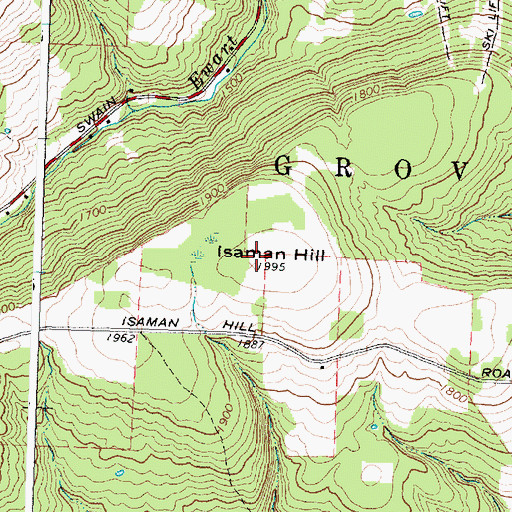 Topographic Map of Isaman Hill, NY