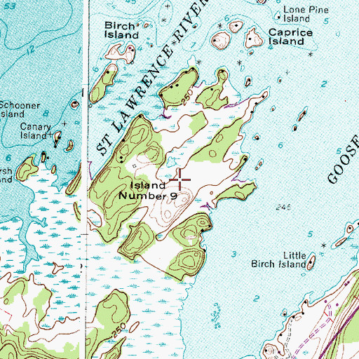 Topographic Map of Island Number Nine, NY