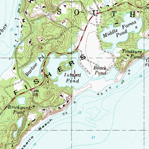 Topographic Map of Island Pond, NY