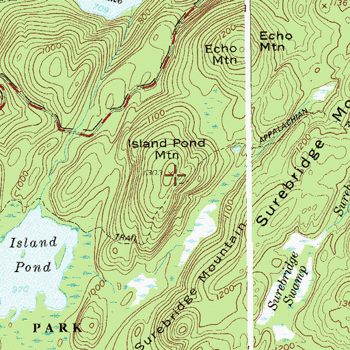 Topographic Map of Island Pond Mountain, NY