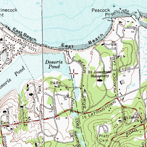 Topographic Map of Island Swamp Brook, NY