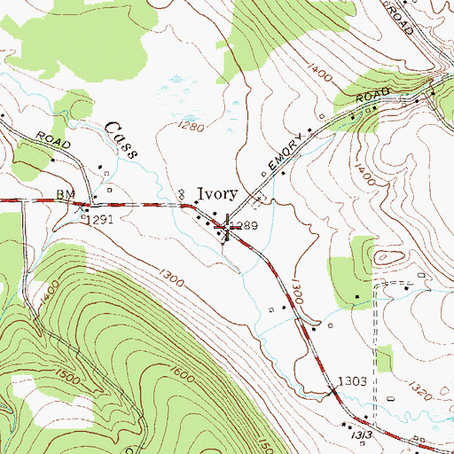 Topographic Map of Ivory, NY