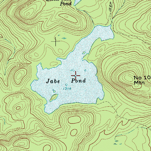Topographic Map of Jabe Pond, NY