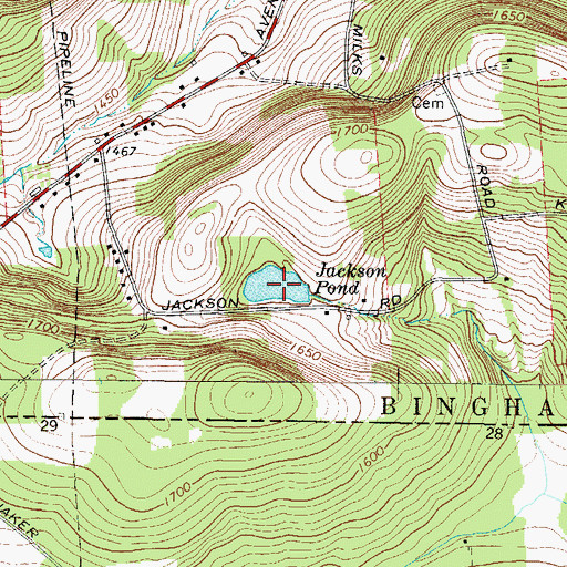 Topographic Map of Jackson Pond, NY