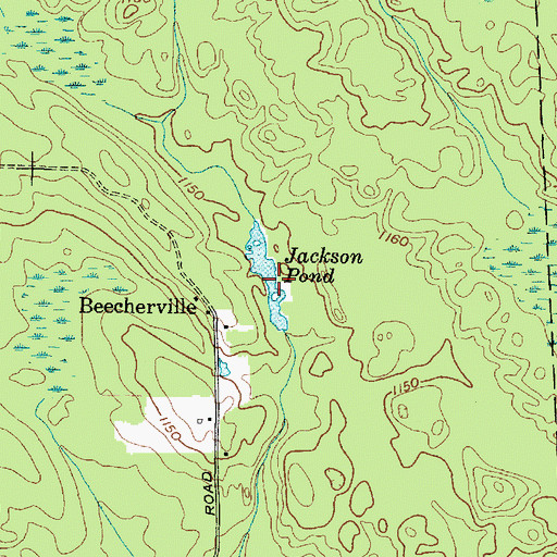 Topographic Map of Jackson Pond, NY