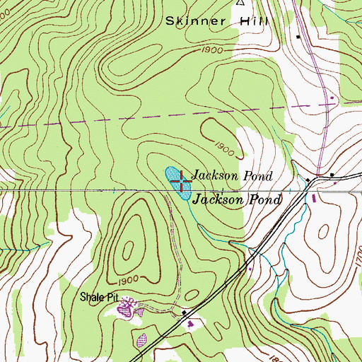 Topographic Map of Jackson Pond, NY