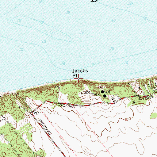 Topographic Map of Jacobs Point, NY