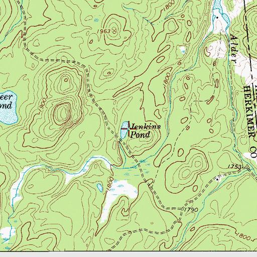 Topographic Map of Jenkins Pond, NY