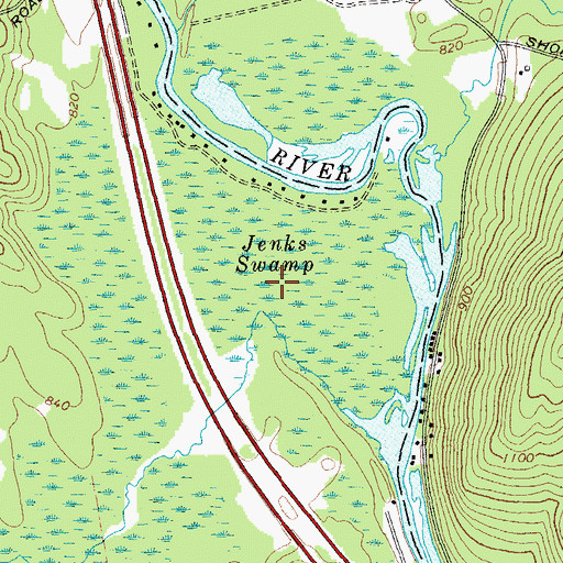 Topographic Map of Jenks Swamp, NY