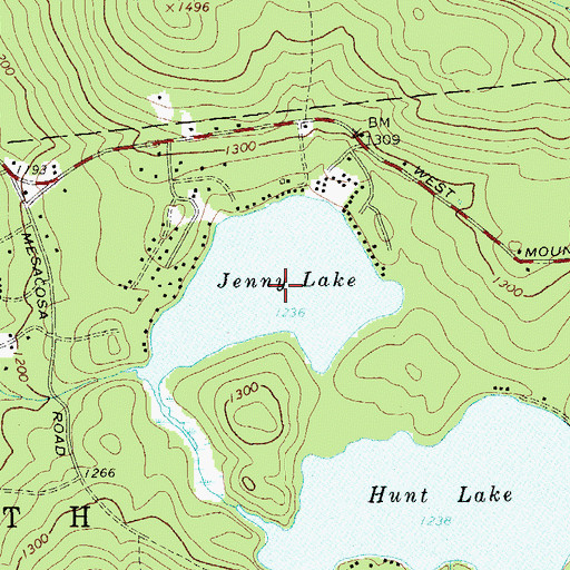 Topographic Map of Jenny Lake, NY