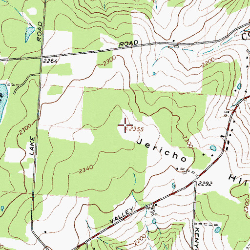 Topographic Map of Jericho Hill, NY