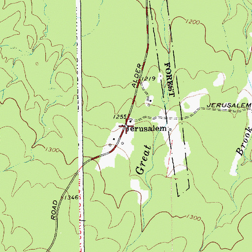 Topographic Map of Jersalem, NY