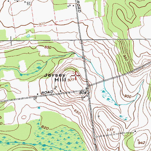 Topographic Map of Jersey Hill, NY