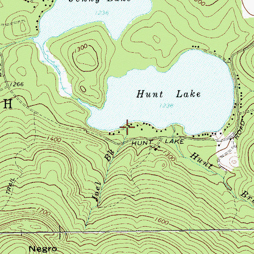 Topographic Map of Joel Brook, NY