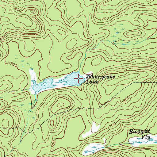 Topographic Map of Johnnycake Lake, NY