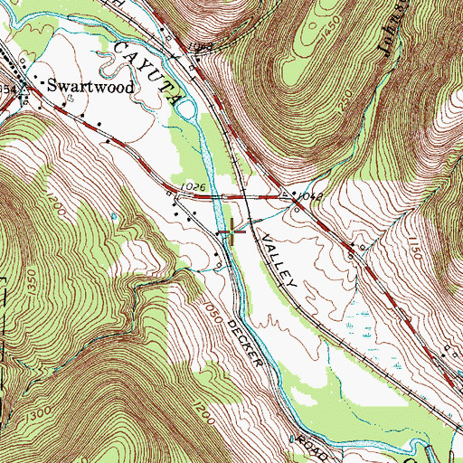 Topographic Map of Johnson Creek, NY
