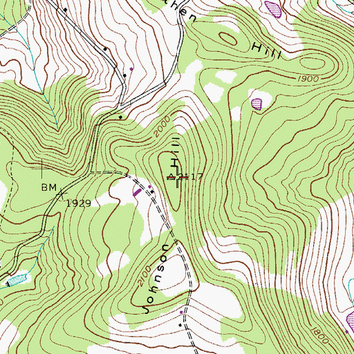 Topographic Map of Johnson Hill, NY