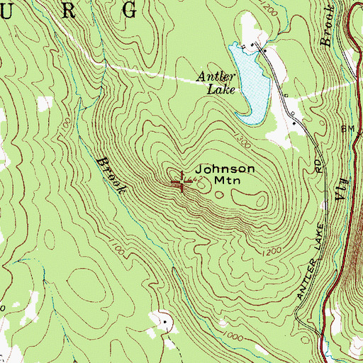 Topographic Map of Johnson Mountain, NY
