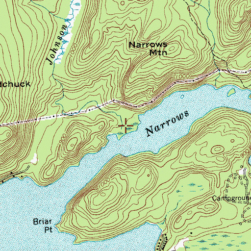Topographic Map of Johnson Pond Brook, NY