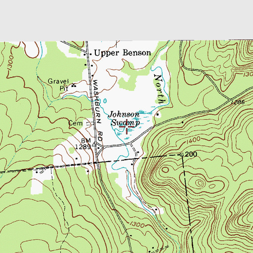 Topographic Map of Johnson Swamp, NY