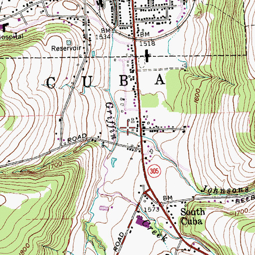 Topographic Map of Johnsons Creek, NY