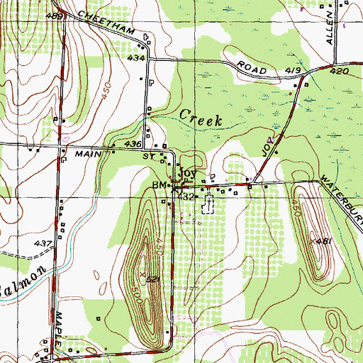 Topographic Map of Joy, NY