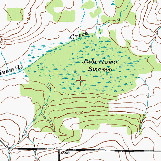 Topographic Map of Jubertown Swamp, NY