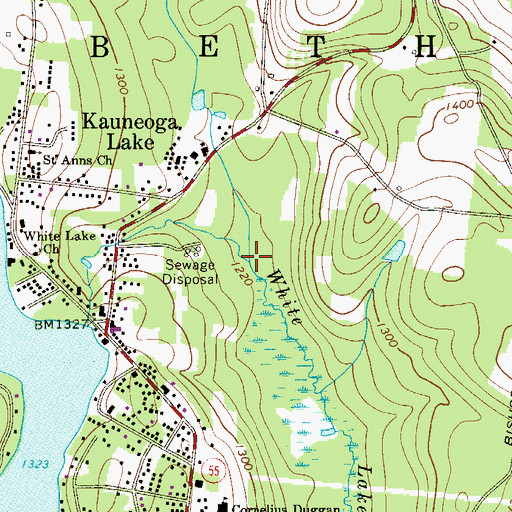 Topographic Map of Judson Brook, NY
