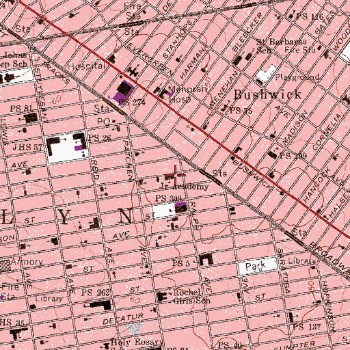 Topographic Map of Junior Academy, NY
