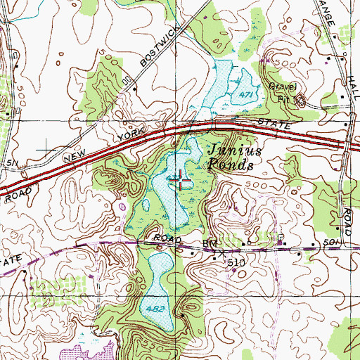 Topographic Map of Junius Ponds, NY