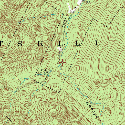 Topographic Map of Kanape Brook, NY