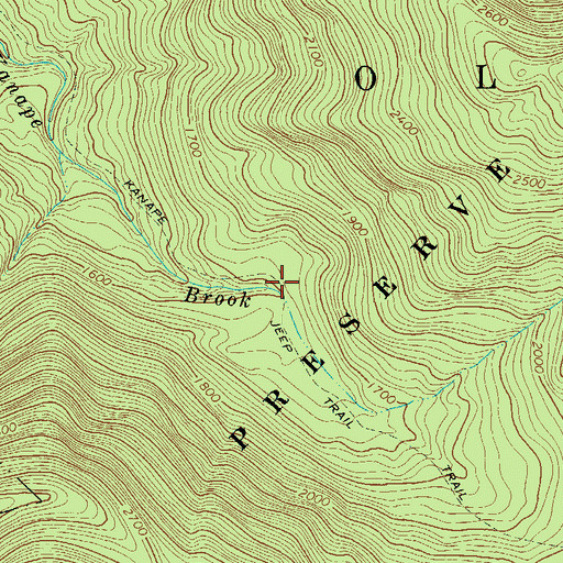 Topographic Map of Kanape Jeep Trail, NY