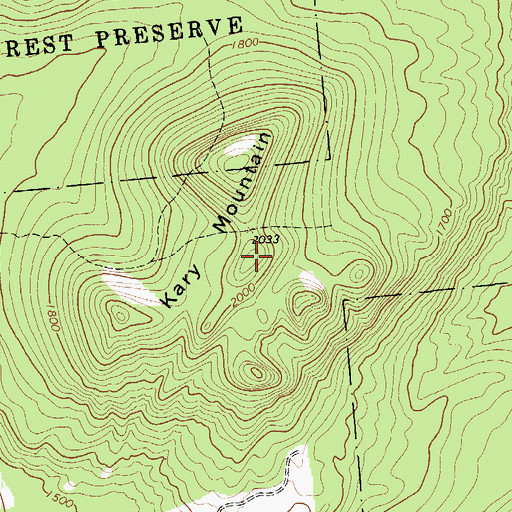 Topographic Map of Kary Mountain, NY