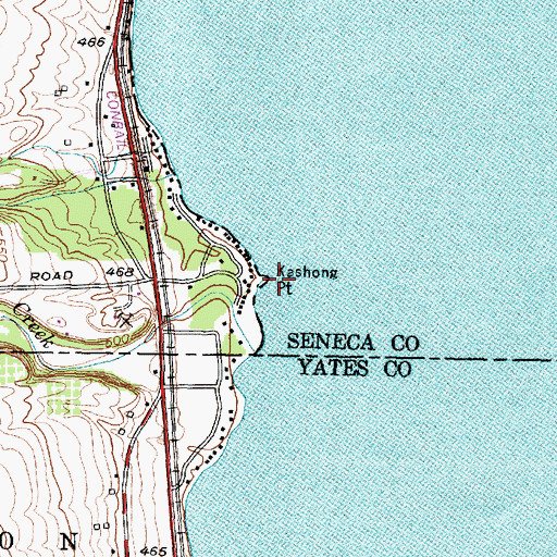 Topographic Map of Kashong Point, NY