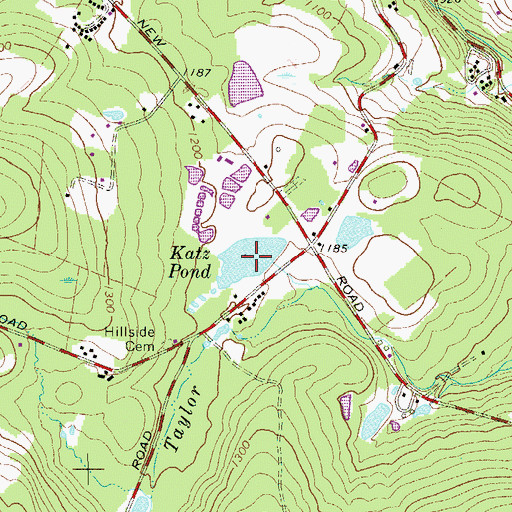 Topographic Map of Katz Pond, NY