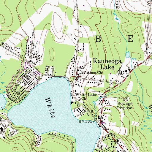 Topographic Map of Kauneonga Lake, NY