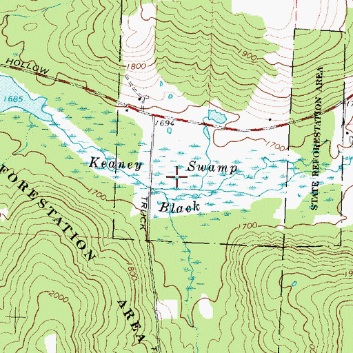 Topographic Map of Keaney Swamp, NY