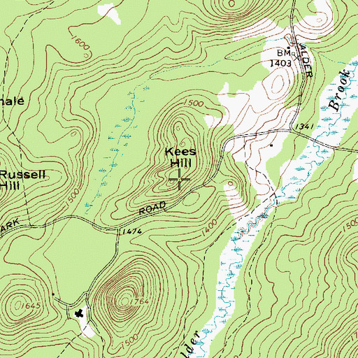 Topographic Map of Kees Hill, NY
