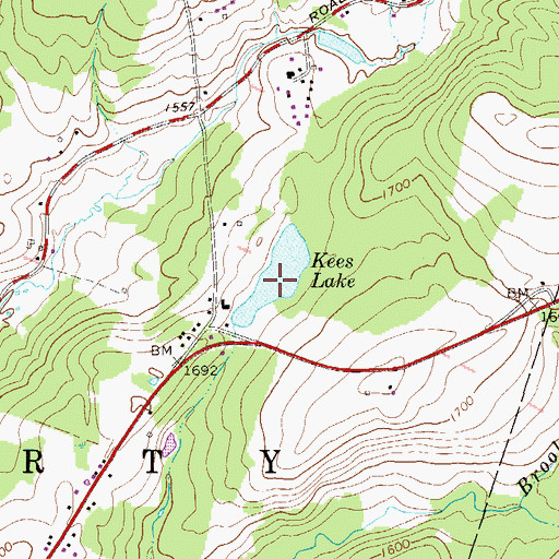 Topographic Map of Kees Lake, NY